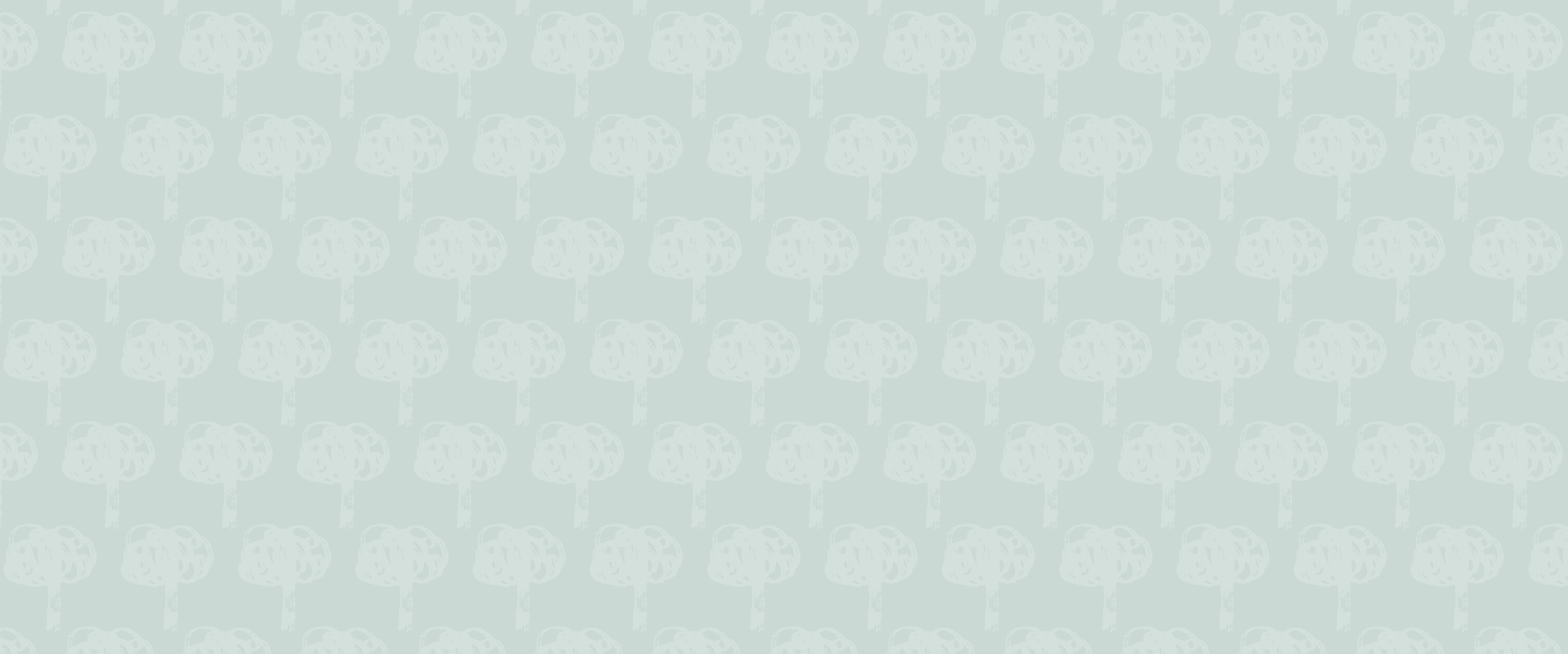 Más árboles, más vida: transformando Culiacán, una banqueta a la vez | Mapasin